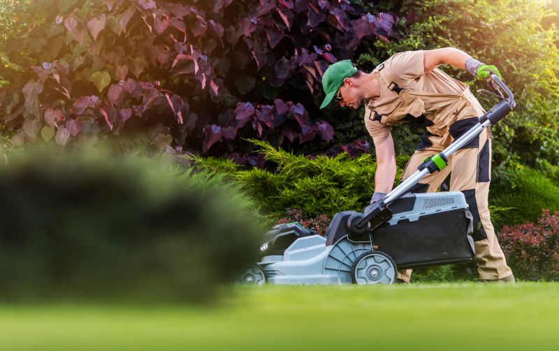 Yard Work Service