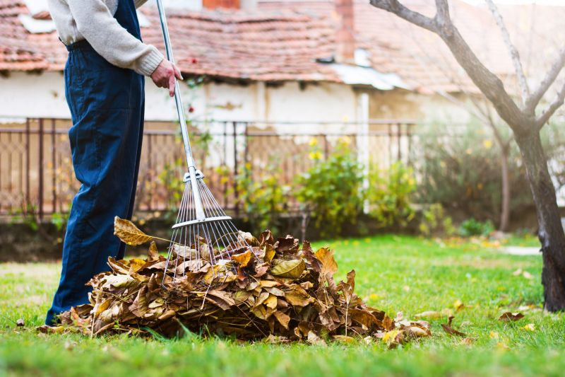 Lawn Covered with Fallen Leaves