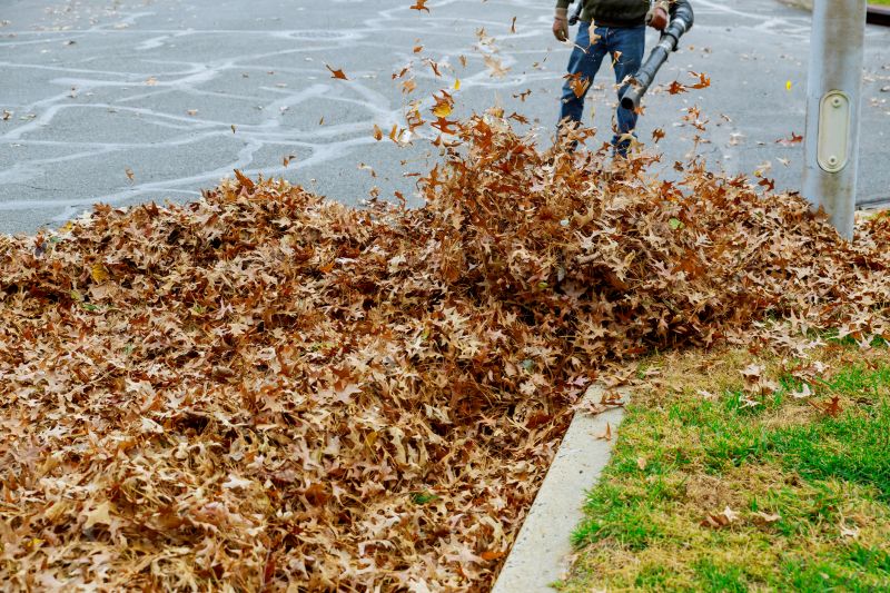Professional Equipment for Leaf Removal