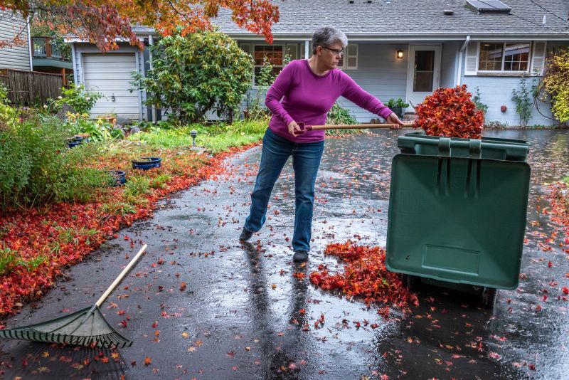 Autumn Leaf Pile
