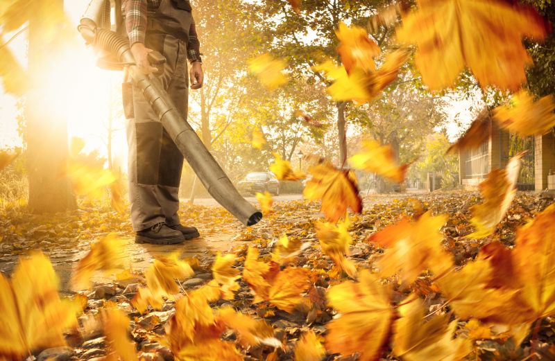 Leaf Blowing for Quick Cleanup
