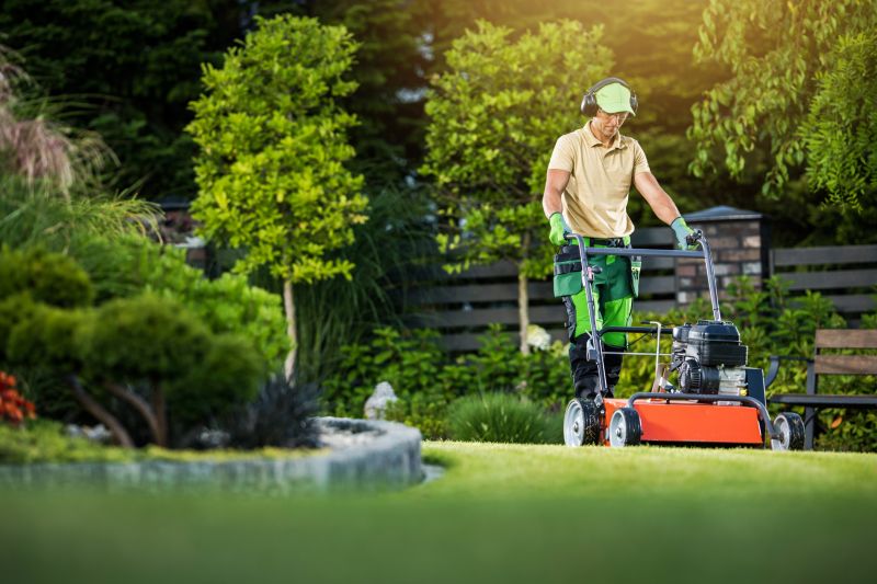 Assessing Your Yard Needs