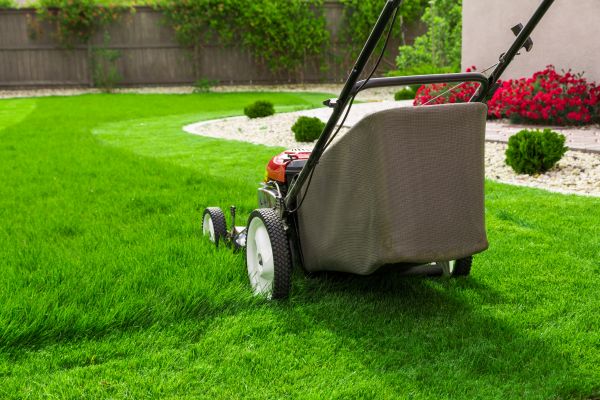 Front Yard Maintenance